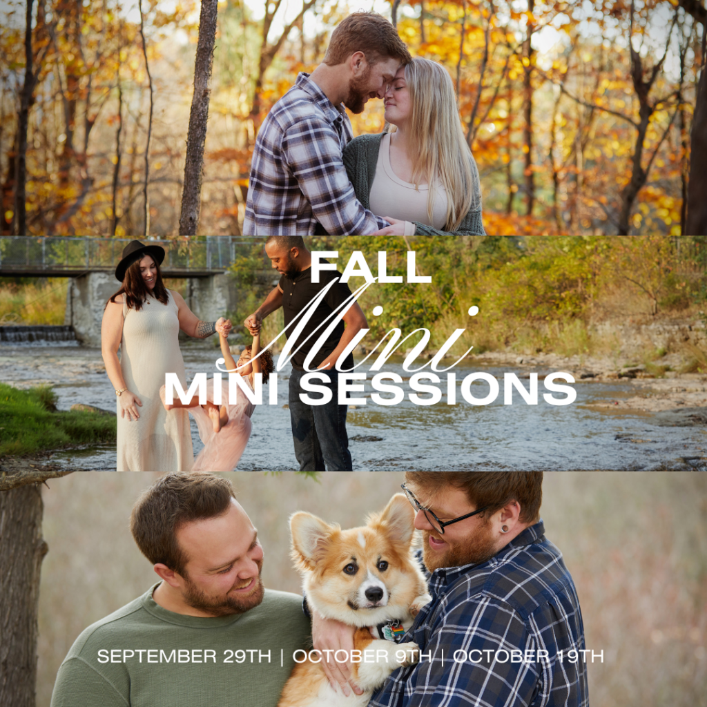 Kingston fall mini sessions