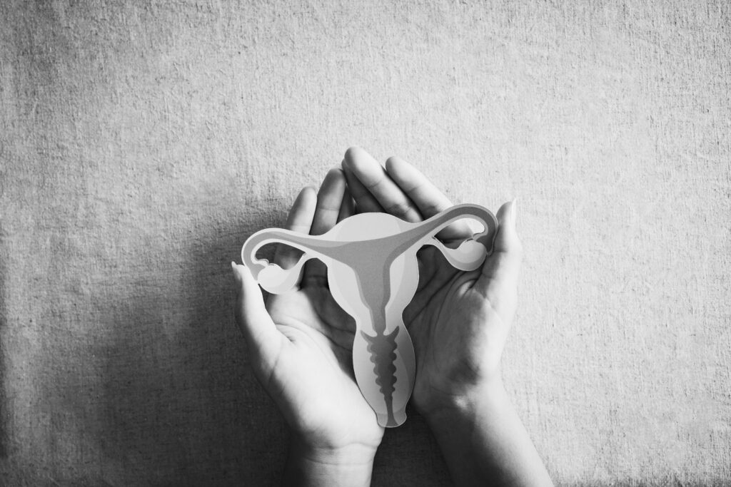 The Endo Project Series